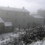 Foggy Winter Day, Cocolaio