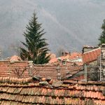 Roof View